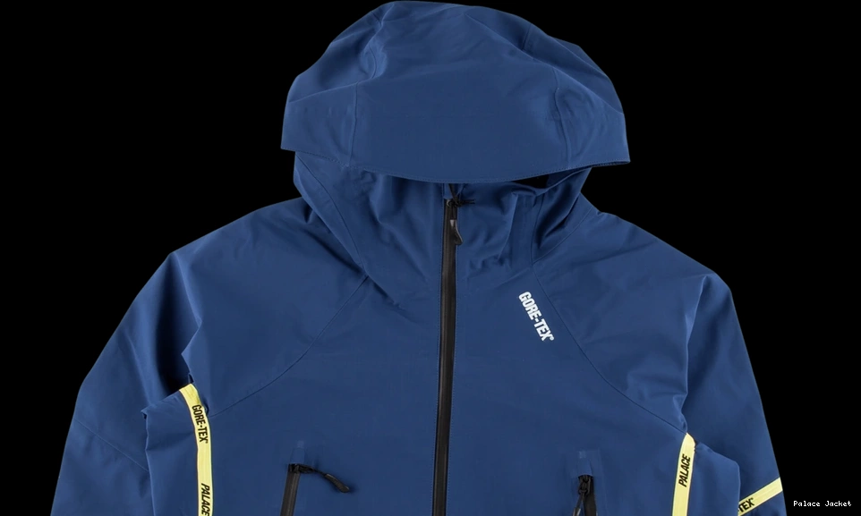 Cheap Palace Palex Gore-Tex Jacket 0708